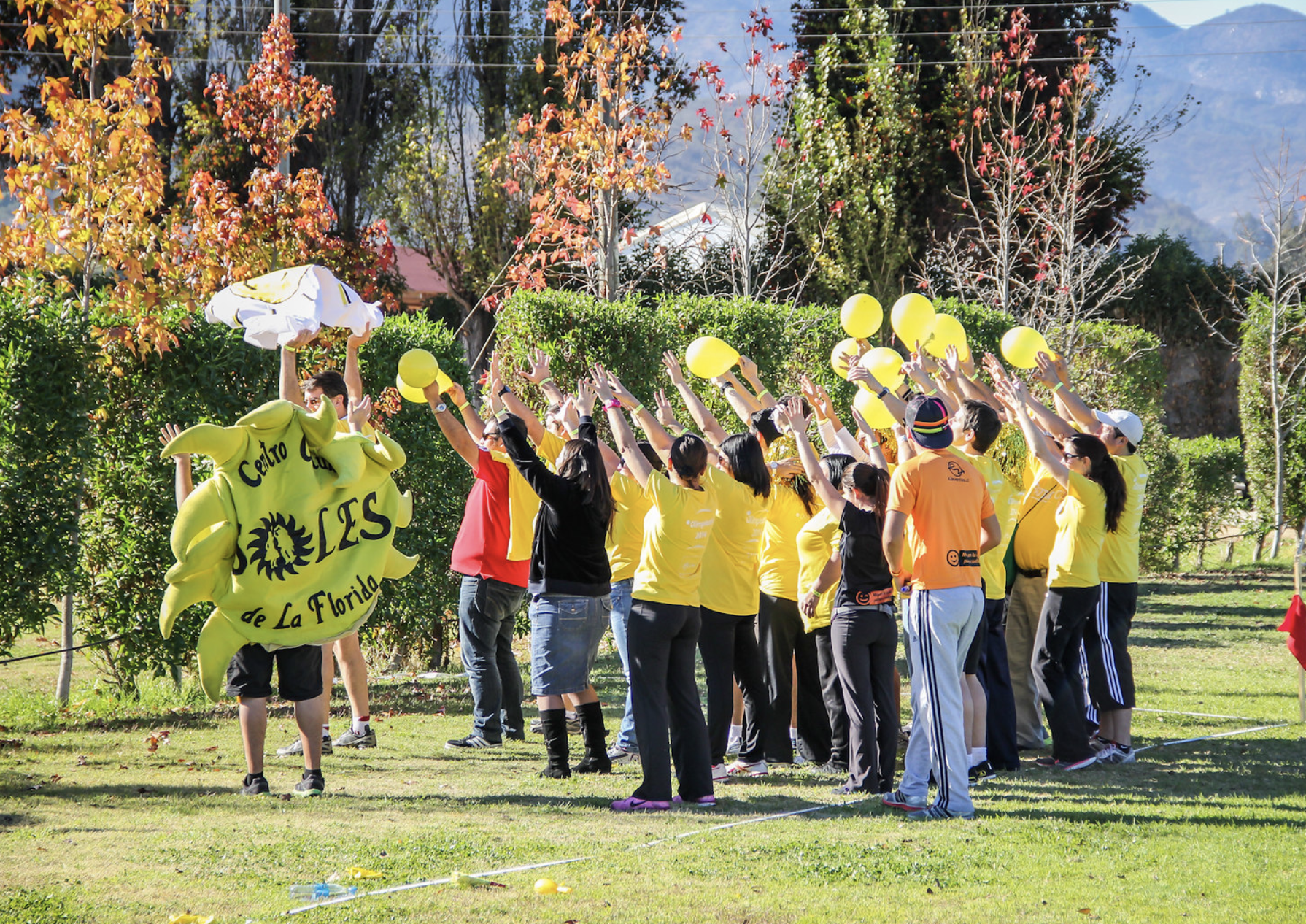 Actividades de team building al aire libre en parque natural